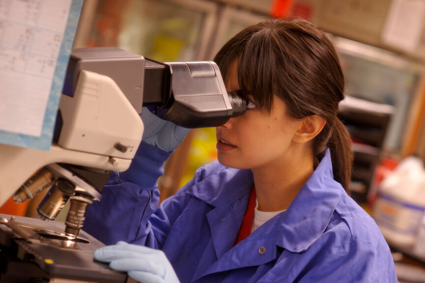 A young female student uses a microscope