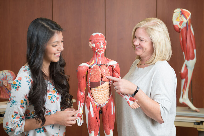 A female professor teaching a female student using an anatomy model