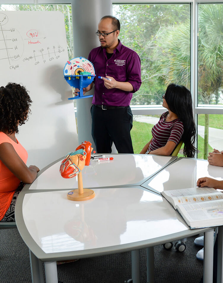 A group of students studies with the help of a tutor